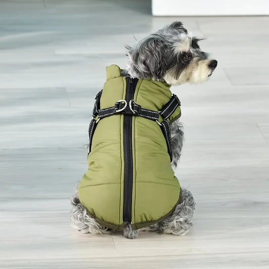 Cozy Pup Winter Jacket